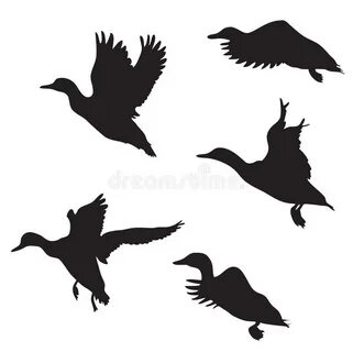 Ducks stock illustration. Illustration of design, asia - 938