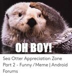 Funny Sea Otter Memes - Mundo Das