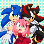 #30978 - safe, artist:myly14, amy rose (sonic), shadow the h