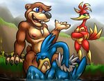 banjo kazooie banjo-kazooie 1boys 2girls anthro areolae bear