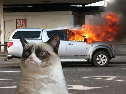 Grumpy Cat Car on Fire Memes - Imgflip