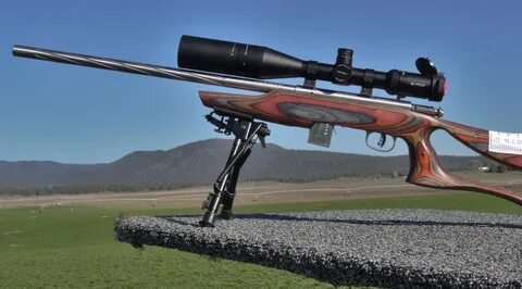 Best Gun Scope For 17 HMR BestGunScope.com's Top Picks! Best