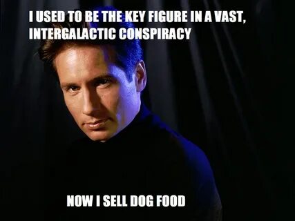 X-FILES MEMES and GIFS Clean Meme Central