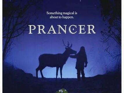 #prancer - ٹوئٹر تلاش