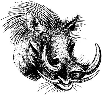 Hog clipart warthog, Picture #1344681 hog clipart warthog