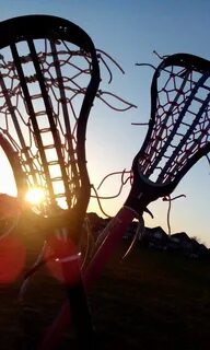 Come Join Hamilton Girl’s Lacrosse! - The Paw Print