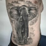 Pin by Anastasiya Shabalina on Animal tattoo Elephant tattoo