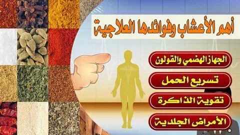 اسماء وصور اهم الاعشاب مع فوائدها الطبية والعلاجية - YouTube