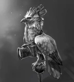 The Harpy Eagle on Behance