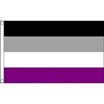 Amazon.com : TOP BRAND Asexual Rainbow Pride 5'x3' Flag : Pa