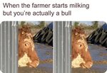 When the farmer start milking but you are actually a bull me