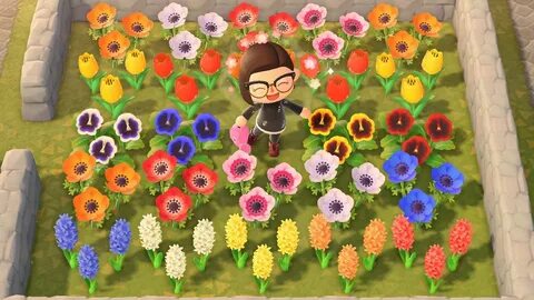 How to create hybrid flowers in Animal Crossing: New Horizon