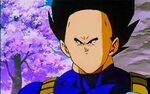 I didn't know Dick was in DBZ - Imgur