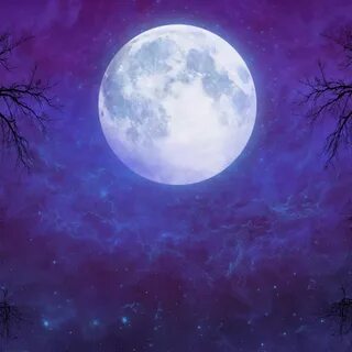 Full Moon in Starry Night Sky pfp