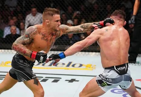 Dustin poirier bjj belt