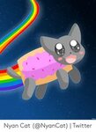 🐣 25+ Best Memes About Nyan Cat Pics Nyan Cat Pics Memes