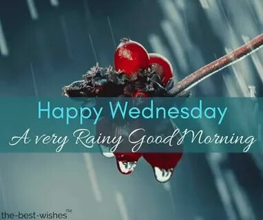 31 Perfect Good Morning Wishes For A Rainy Day Best Images G