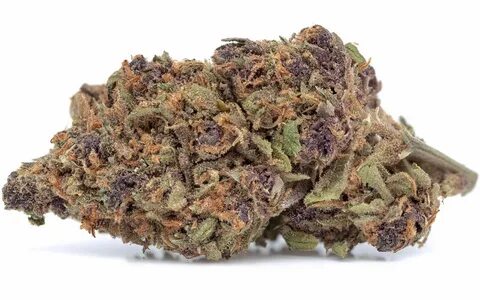 Forbidden Fruit Strain - Basic Information - Wholly Cal