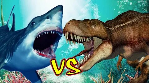 Shark Vs Dinosaurs Mega Fight Shark Attacks Dinosaurs In Sea