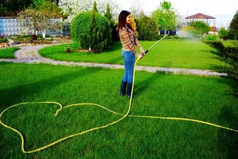 7 Best Pressure Washer Hoses (2022 Reviews) - Oh So Spotless