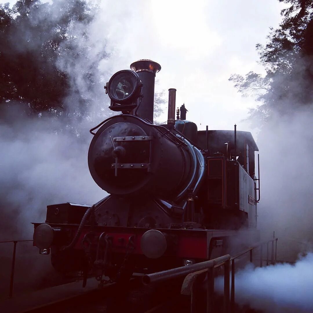 Steam on the rail фото 40