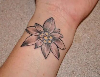 Edelweiss tattoo Edelweiss tattoo, Tattoos, Flower tattoos