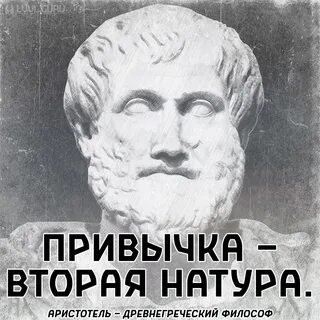 Аристотель - ЛеВВеЛ