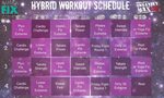 21 Day Fix Extreme and Insanity Max: 30 Hybrid Workout Calen