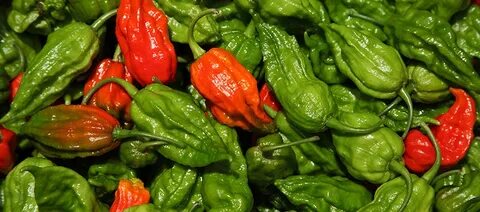 Spicy Situation: Ghost Pepper Ingestion Leads to Potentially