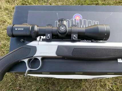 Best Scope For Ruger American 450 Bushmaster - MUSICALMINORS
