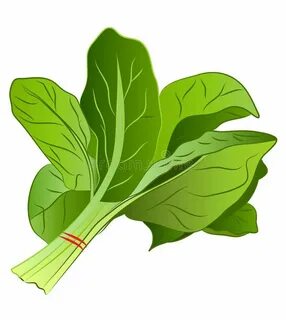 Cartoon Spinach. Vector Illustration Clipart , #affiliate, #