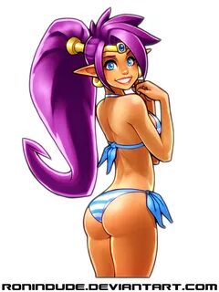Ronindude's Bikini Shantae - 5 Shantae Know Your Meme