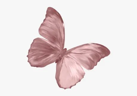 #pink #butterfly #animal #overlay #edit #cute #aesthetic - R