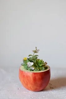 Cute Handmade Japanese Planters7 - Fubiz Media