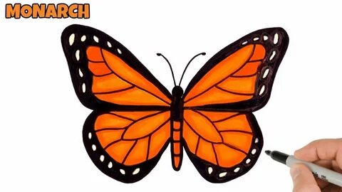 How to Draw Butterfly Easy Monarch butterfly drawing and col