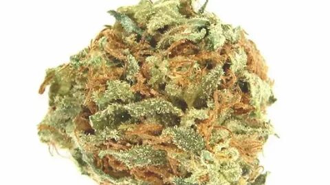 Best Autoflower Strains