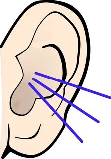 Hearing Clip Art - Hearing Clip Art - (1671x2400) Png Clipar