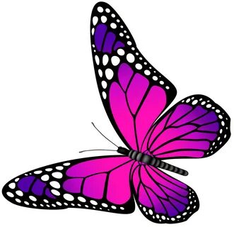 Butterfly Pink and Purple Transparent PNG Clip Art Image But