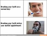 Brushing your teeth Funny quotes, Dental humor, Bones funny