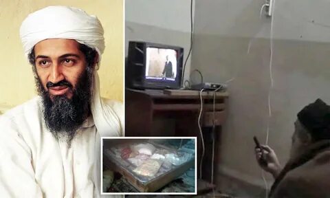 Osama Bin Laden Hard Drive : Til That Osama Bin Laden Liked 