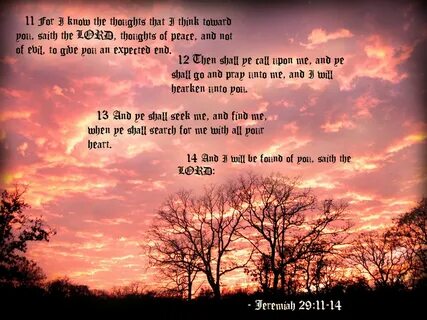 Free download Jeremiah 2911 14 by ChocolateFrizz89 900x675 f