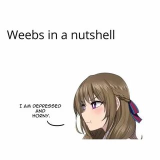 Weebs in a nutshell meme - Anime Memes