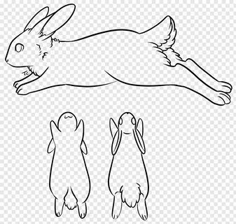 Rabbit Ref Base Free to Use, rabbit sketch png PNGBarn