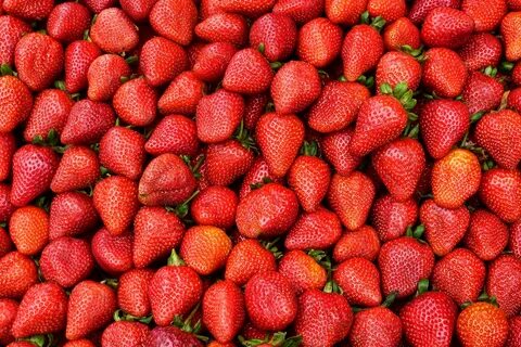 Mobile wallpaper: Food, Strawberry, Berries, Wild Strawberri