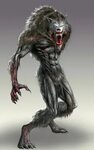 awesome+werewolf+art - Google Search Werewolf art, Werewolf,