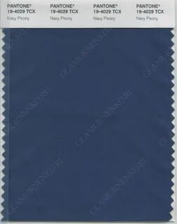 PANTONE 19-4029 Синий пион (Navy Peony) Синие пионы, Модные 