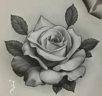 Realistic Rose Tattoo Sketch Related Keywords & Suggestions 