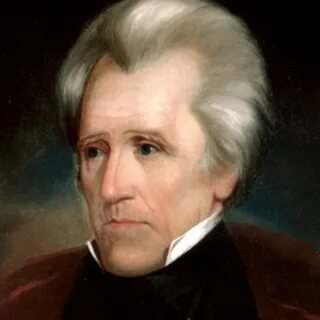 Turned Andrew Jackson into a modern picture portrait - Album