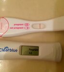 Bfp First Response Then Bfn From Dollar Tree Test Help - Upd