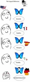 German butterfly Memes